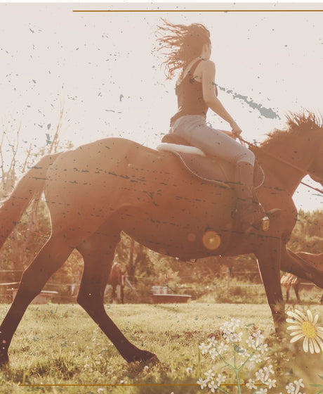 Apparel: Pants, Jeans & Shorts