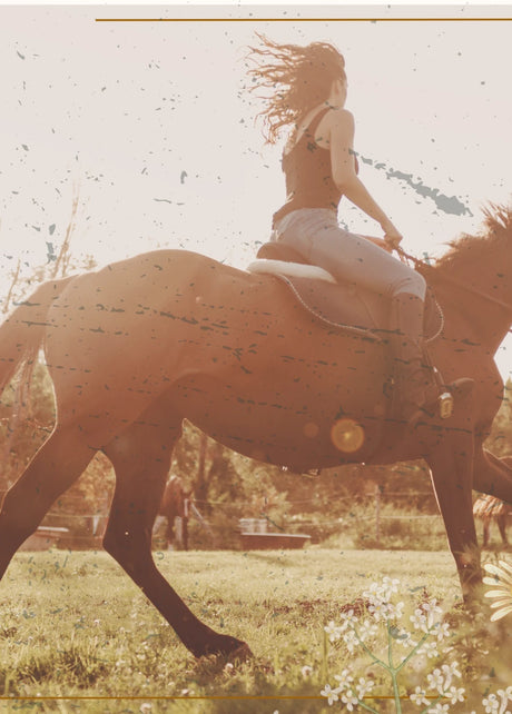 Apparel: Pants, Jeans & Shorts