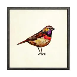 Artwork / Wall Hangings