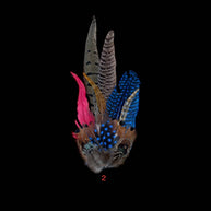 Decorative Side Hat Feathers