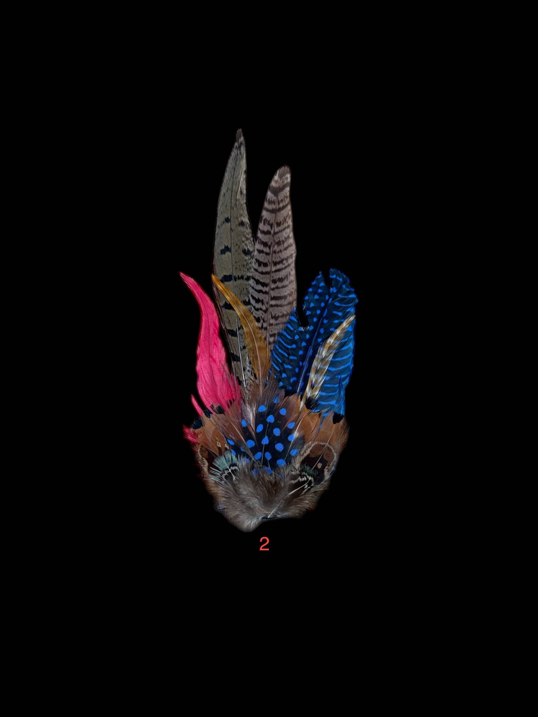 Decorative Side Hat Feathers