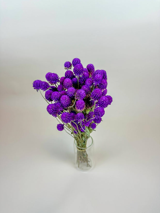 Purple Globe Amaranth – Naturally Dried Flowers