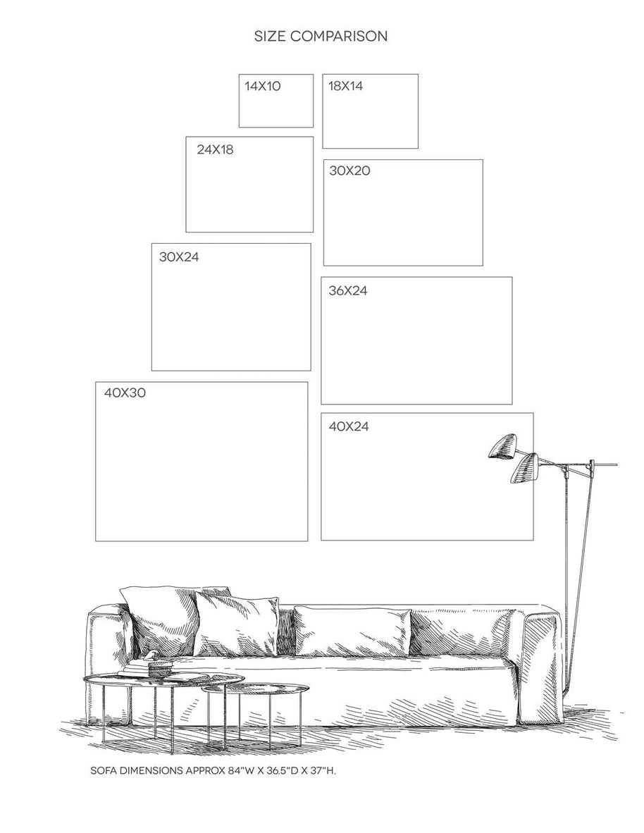 Desert Longhorn Cattle Stretched Canvas