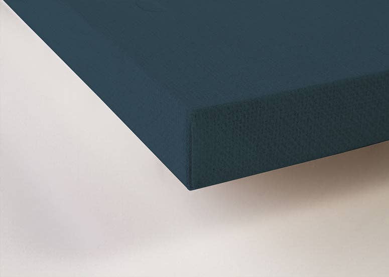 Owl Ballet Canvas Wall Art