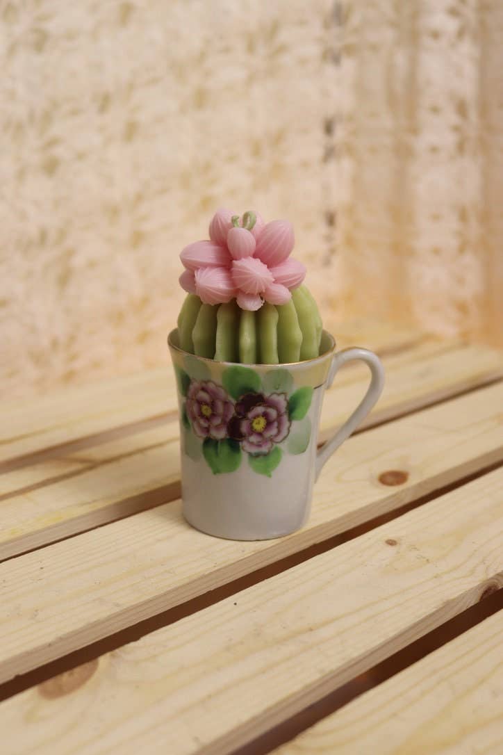 Mini Succulent Candles