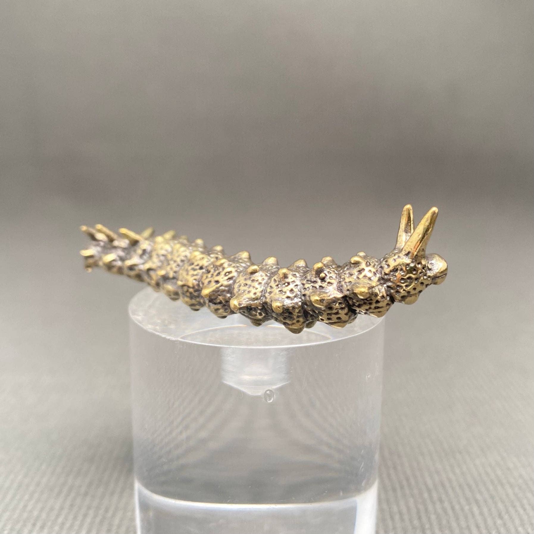 Brass Caterpillar