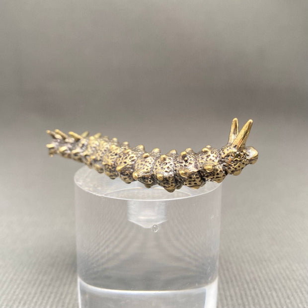 Brass Caterpillar