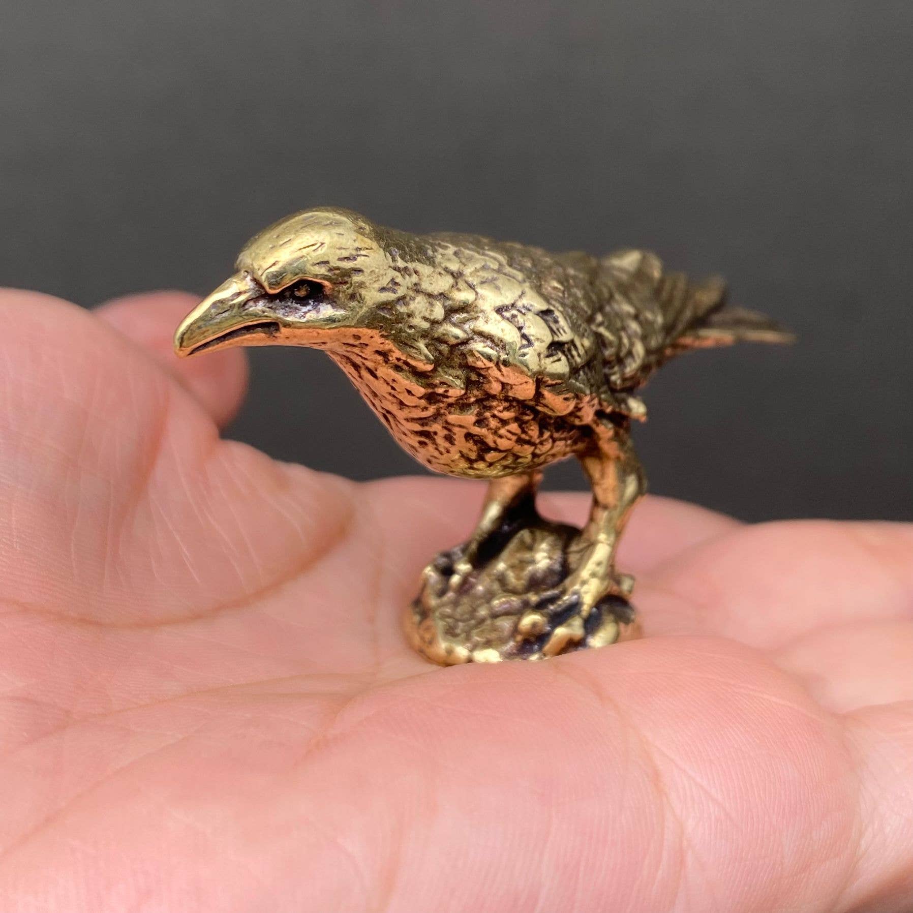 Brass Crow