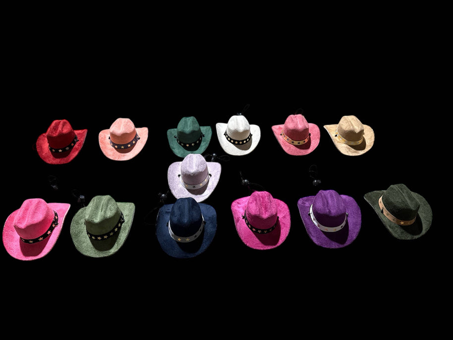 Doggie Cowboy Hat