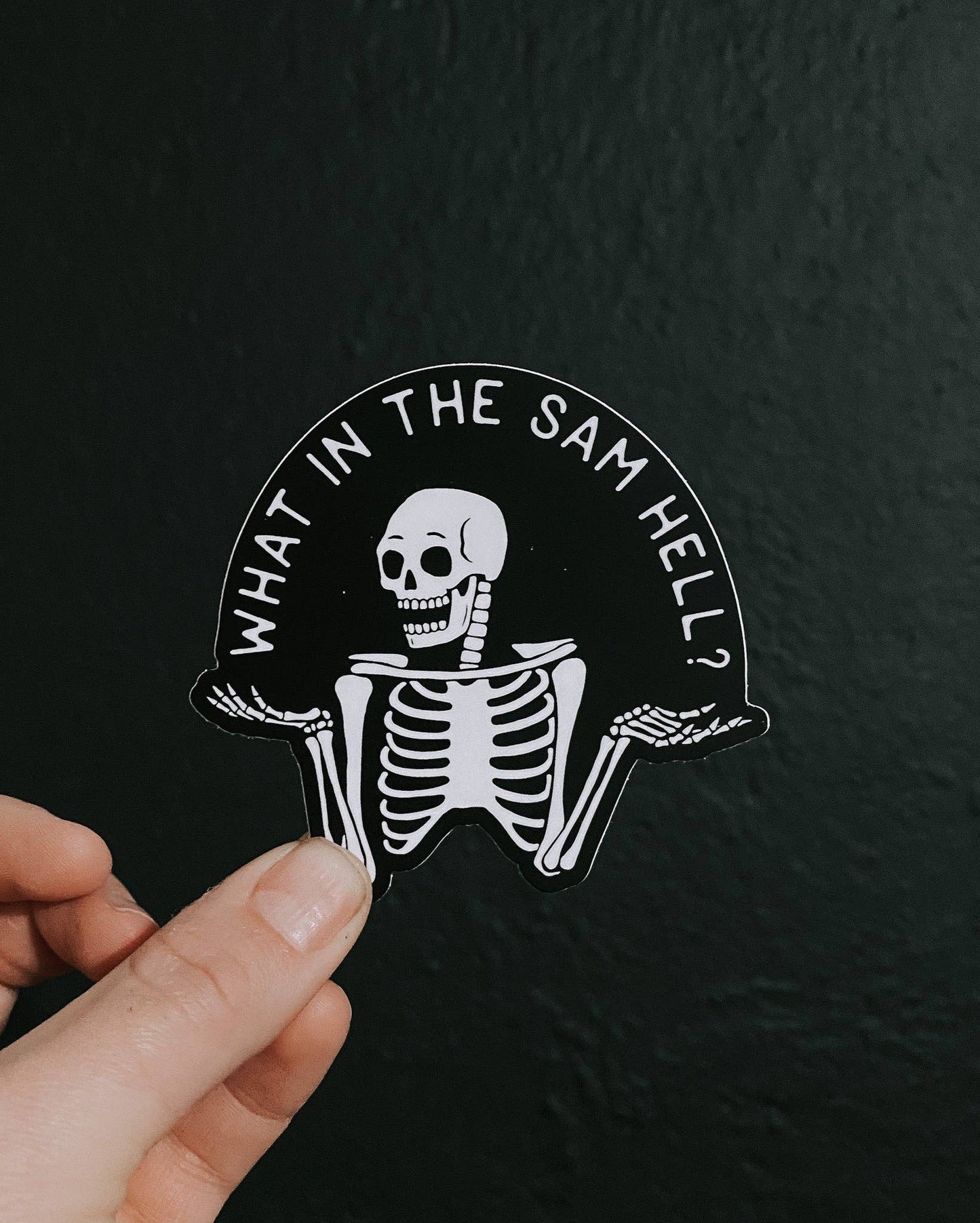 Sam Hill // sticker