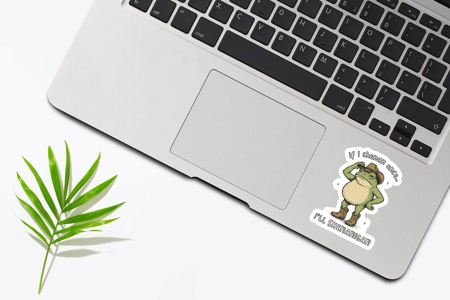 If I Shenan Once I'll Shenan Again Sticker