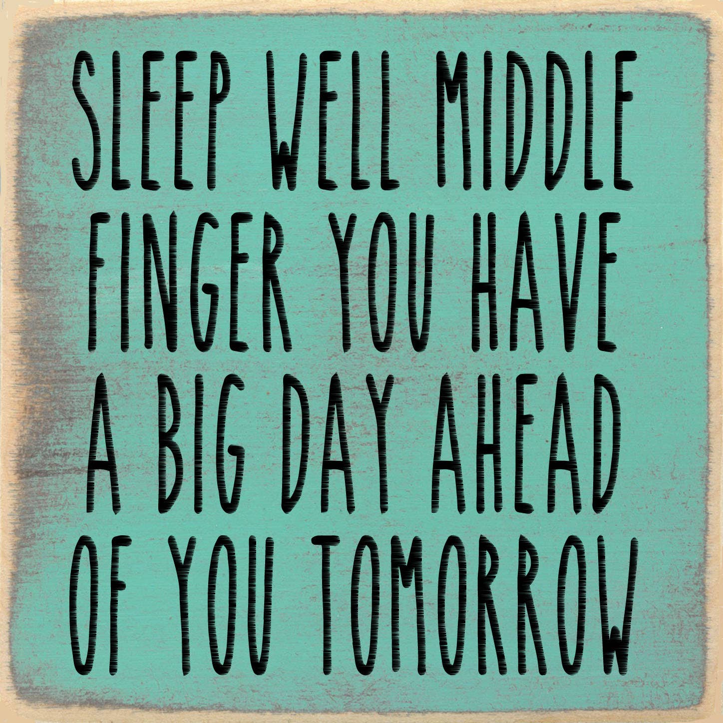 Sleep Well Middle Finger Wood Sign