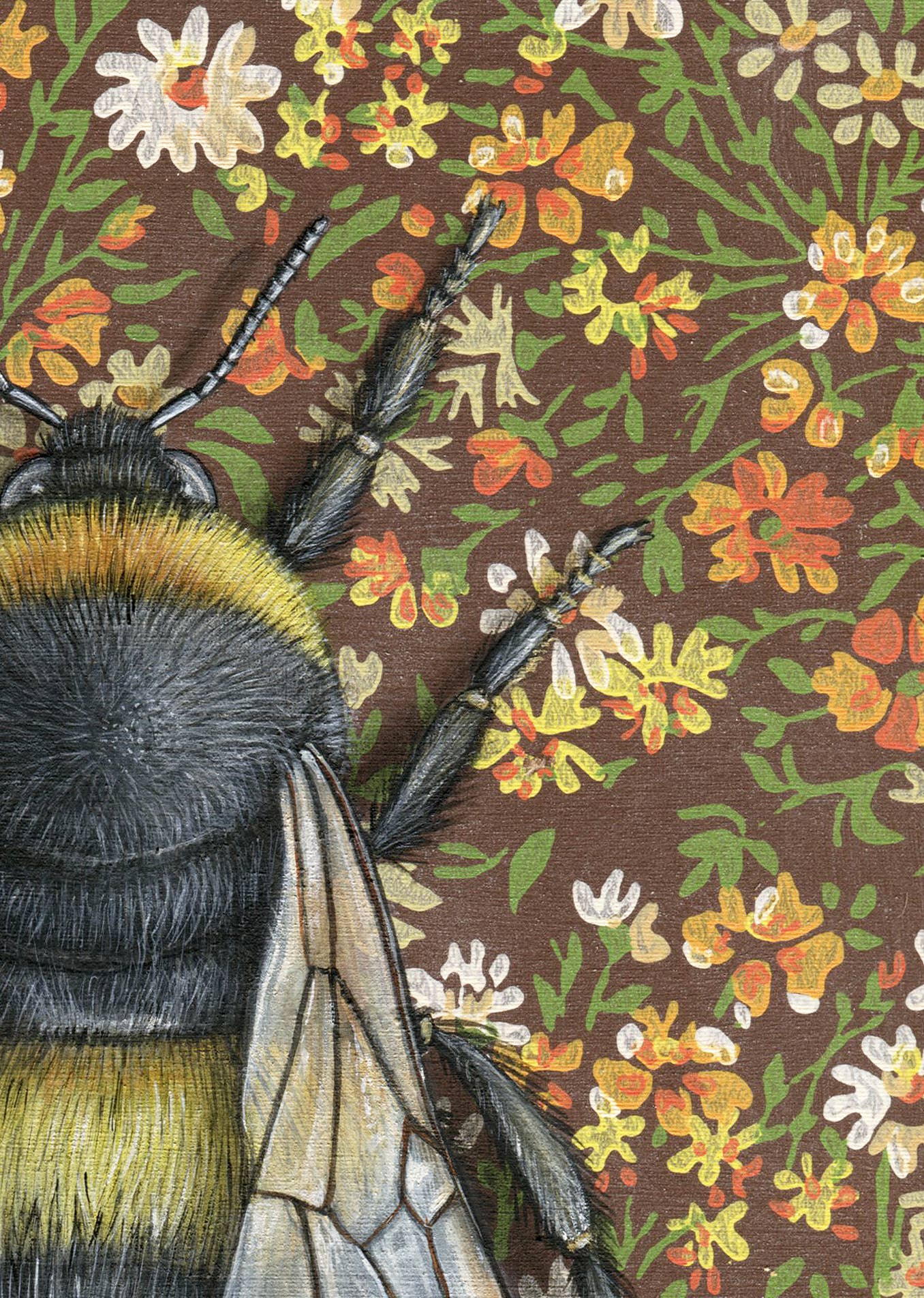 Bumblebee Brown Fine Art Print