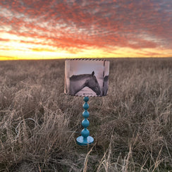 Sorrel Filly Lampshade