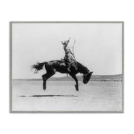 Galloping Rodeo Cowgirl Framed Art