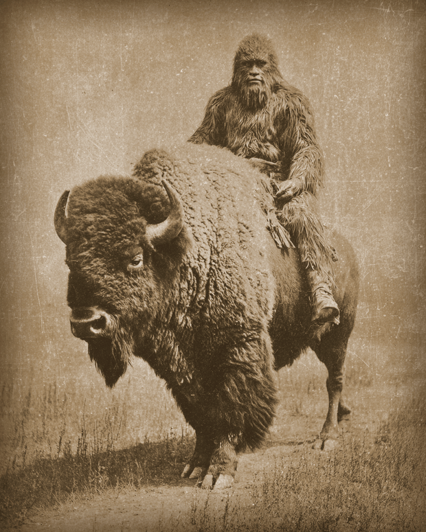 Bigfoot Riding a Bison Wilderness Art Print - 8"x10" Artwork for 11"x14" Frame