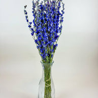 Larkspur - Dark Blue Imperial Double Bloom Naturally Dried