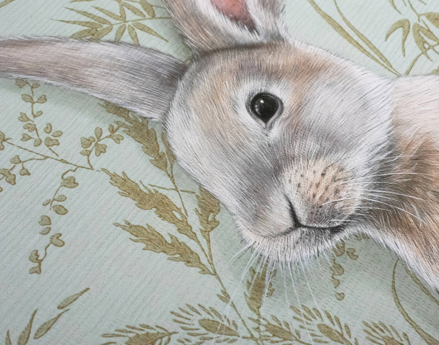 Rabbit Fine Art Print