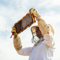 Cinnamon Vanilla Bean Creamed Honey, 9oz.