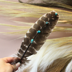 Turquoise Studded Natural Barred Turkey Feathers
