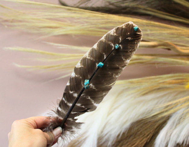 Turquoise Studded Natural Barred Turkey Feathers