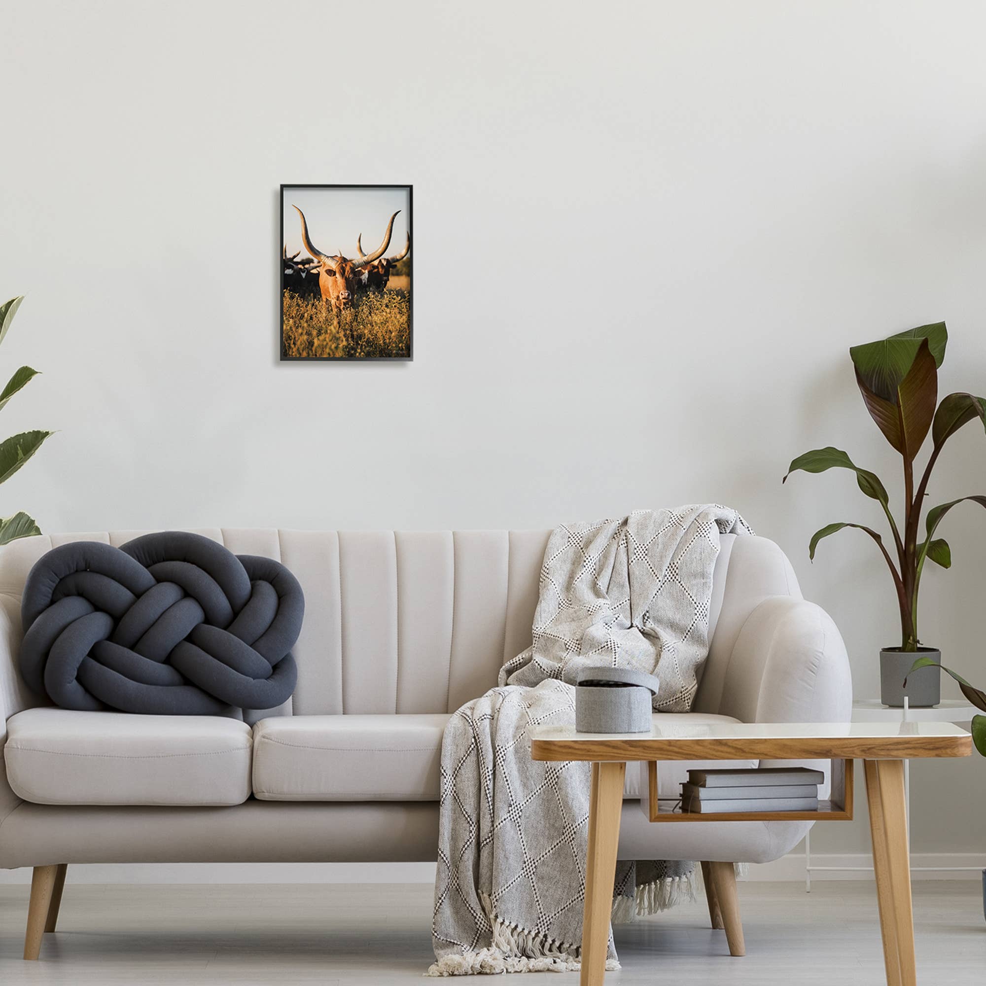 Longhorn Herd Photography Framed