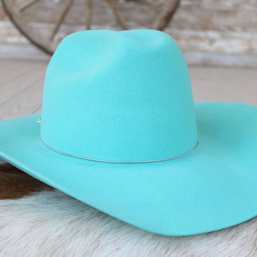 Silver Snake Chain Hat Band
