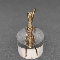 Brass Mantis