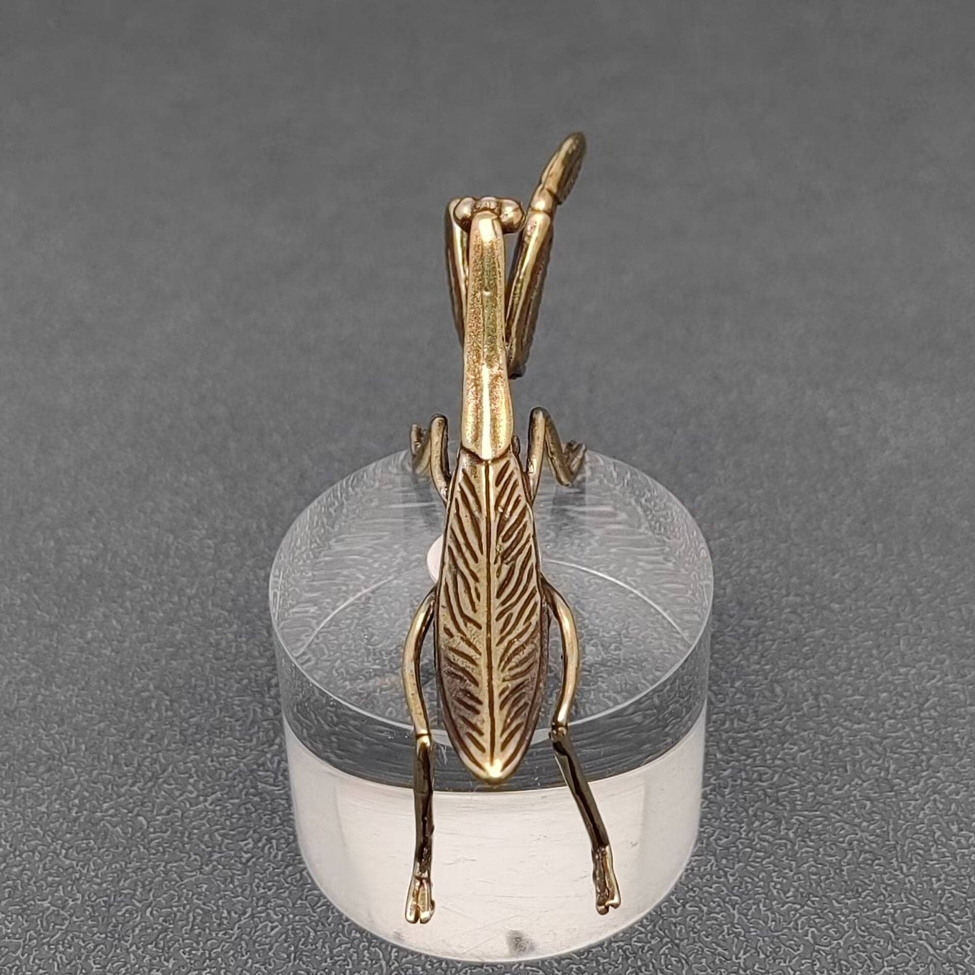 Brass Mantis