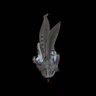 Decorative Side Hat Feathers