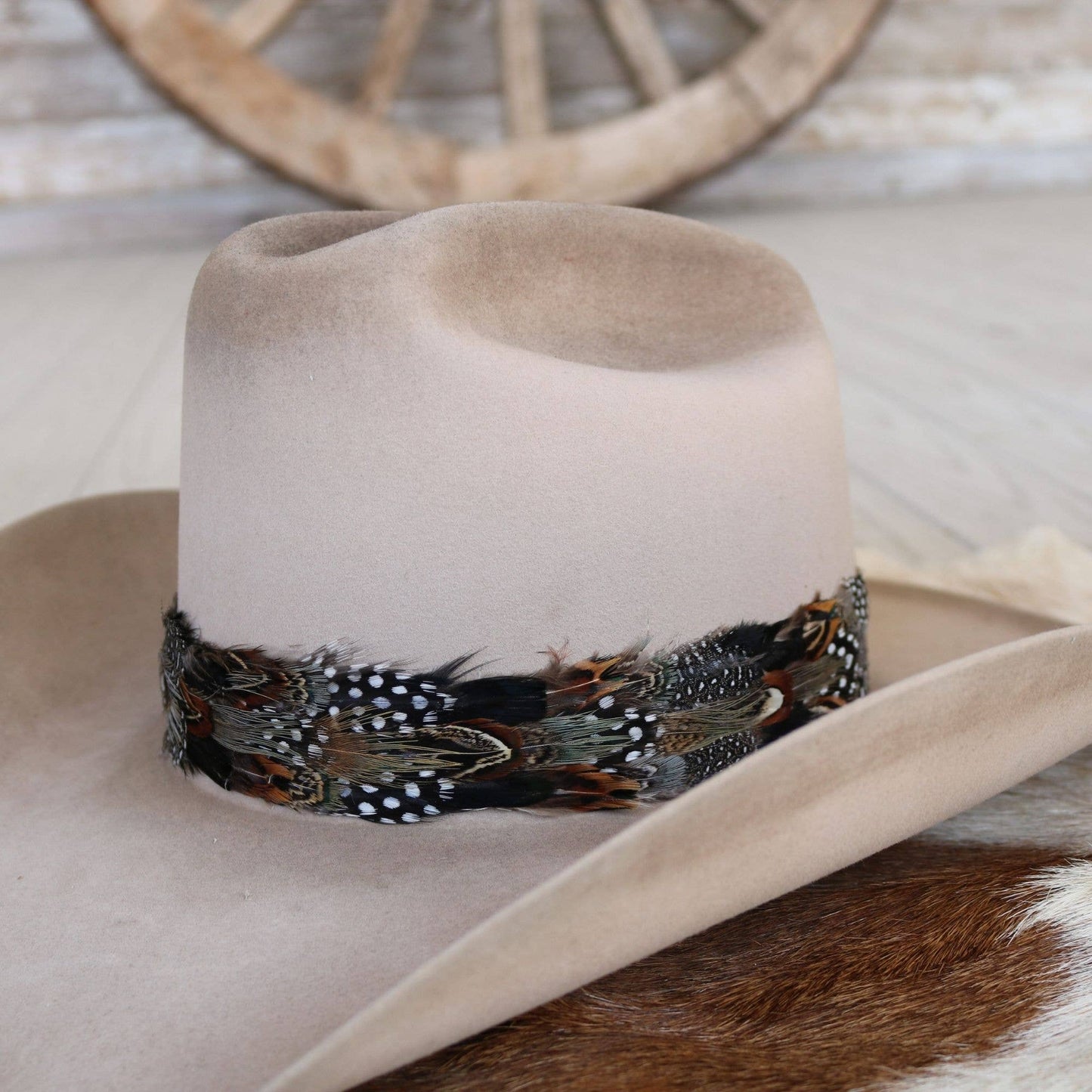 Western Feather Falcon Hat Band