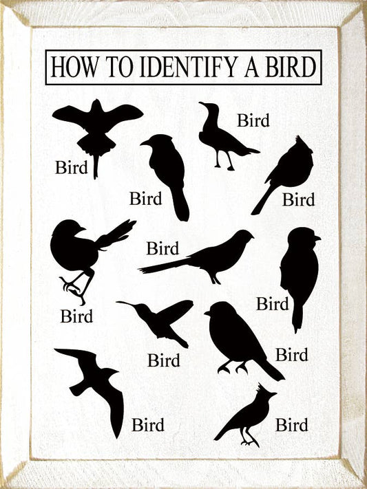 How to Identify a Bird (images of birds) Vertical Wood Sign