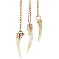 Naturally Shed Antler Necklace