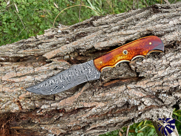 Damascus Knife Burnt Bone Handle, Fitted Grip