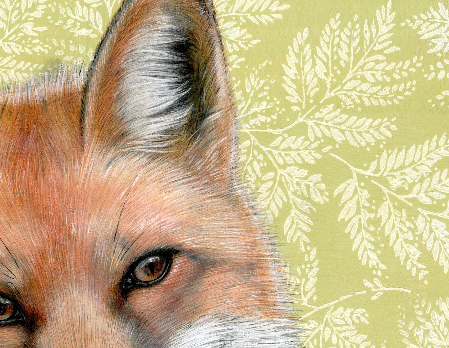 Red Fox Fine Art Print