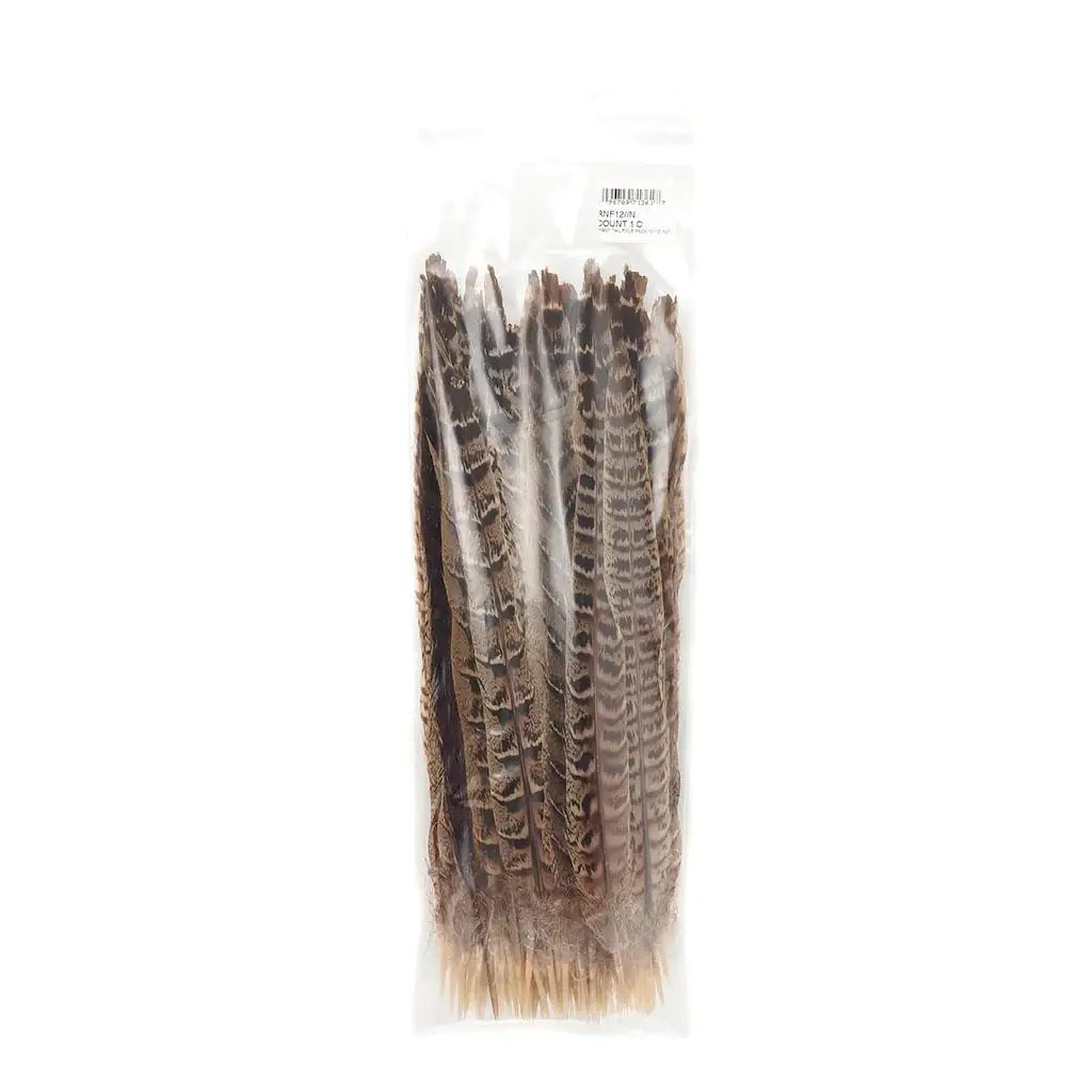 Female Ringneck Pheasant Tail 10-12" - Natural