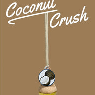 Coconut Crush Air Freshening Diffuser