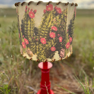 Lampshade White Sands Cactus, 11-14 inch