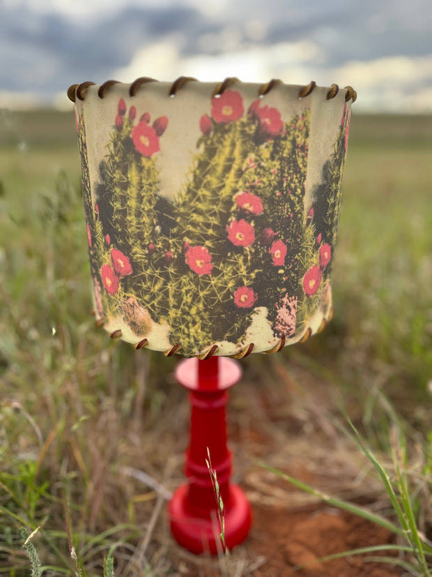 Lampshade White Sands Cactus, 11-14 inch