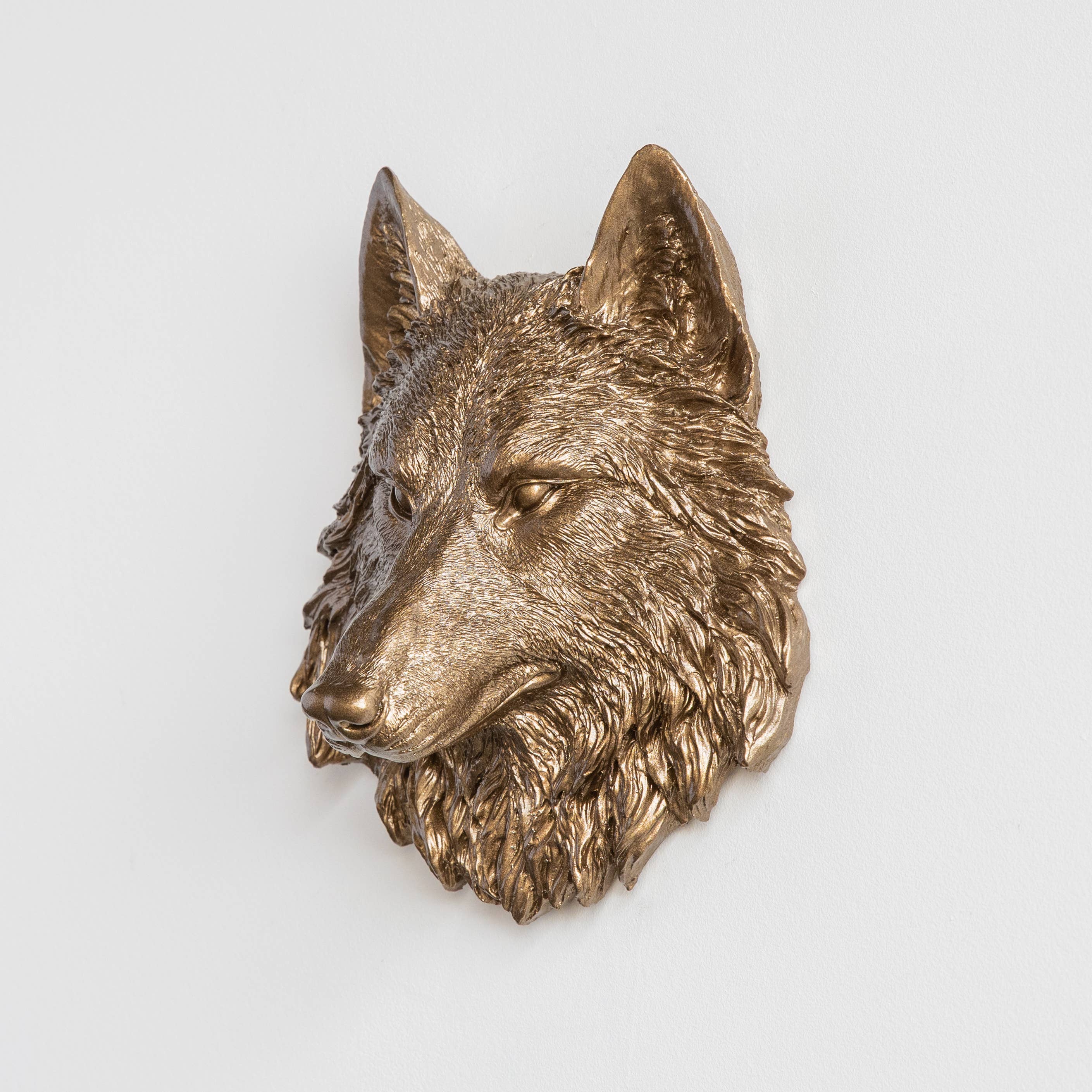 Mini Wolf Head Wall Mount, Bronze