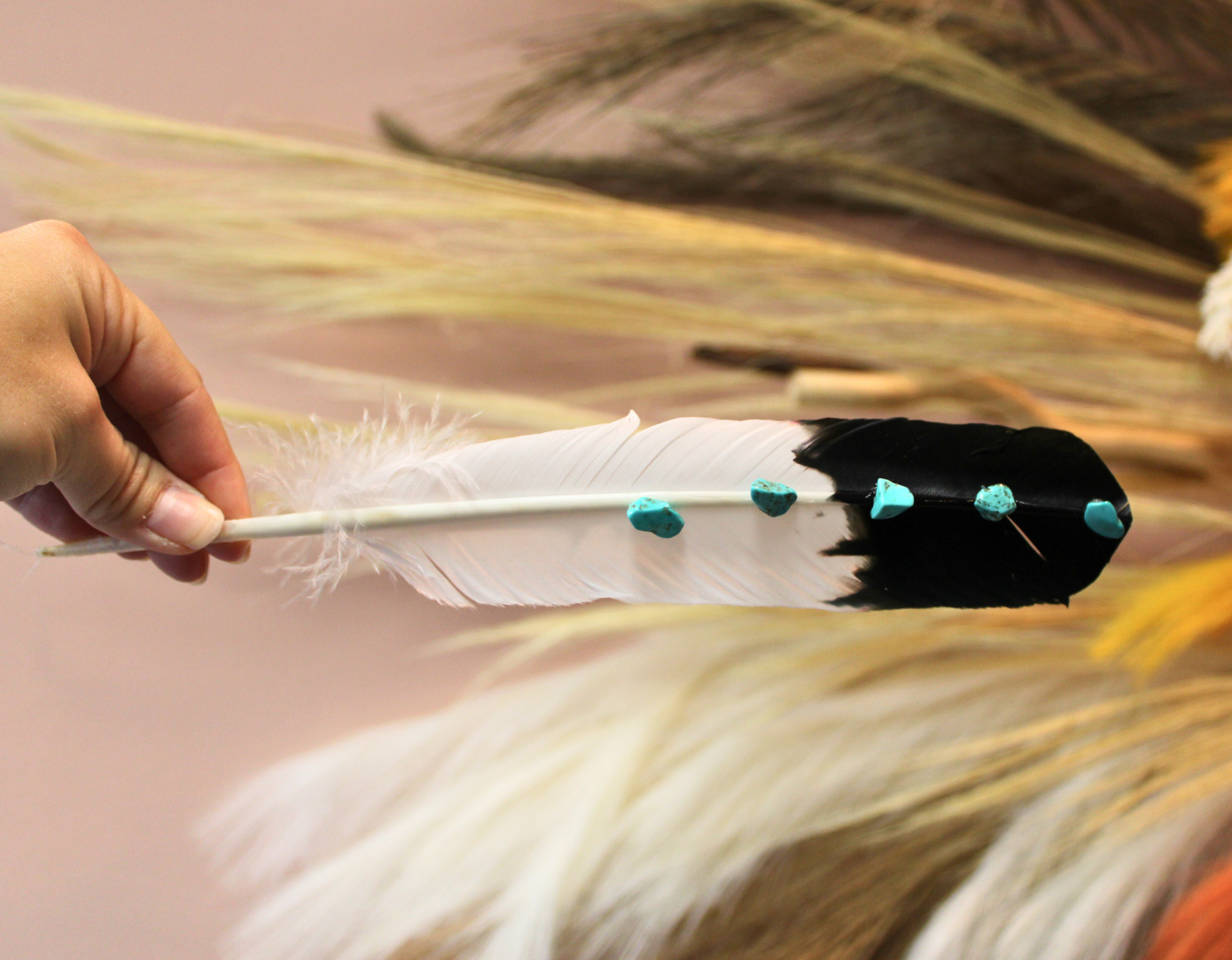 Turquoise Studded Black Tipped Turkey Feathers