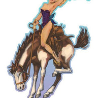 Cowgirls Against The Patriarchy Sticker