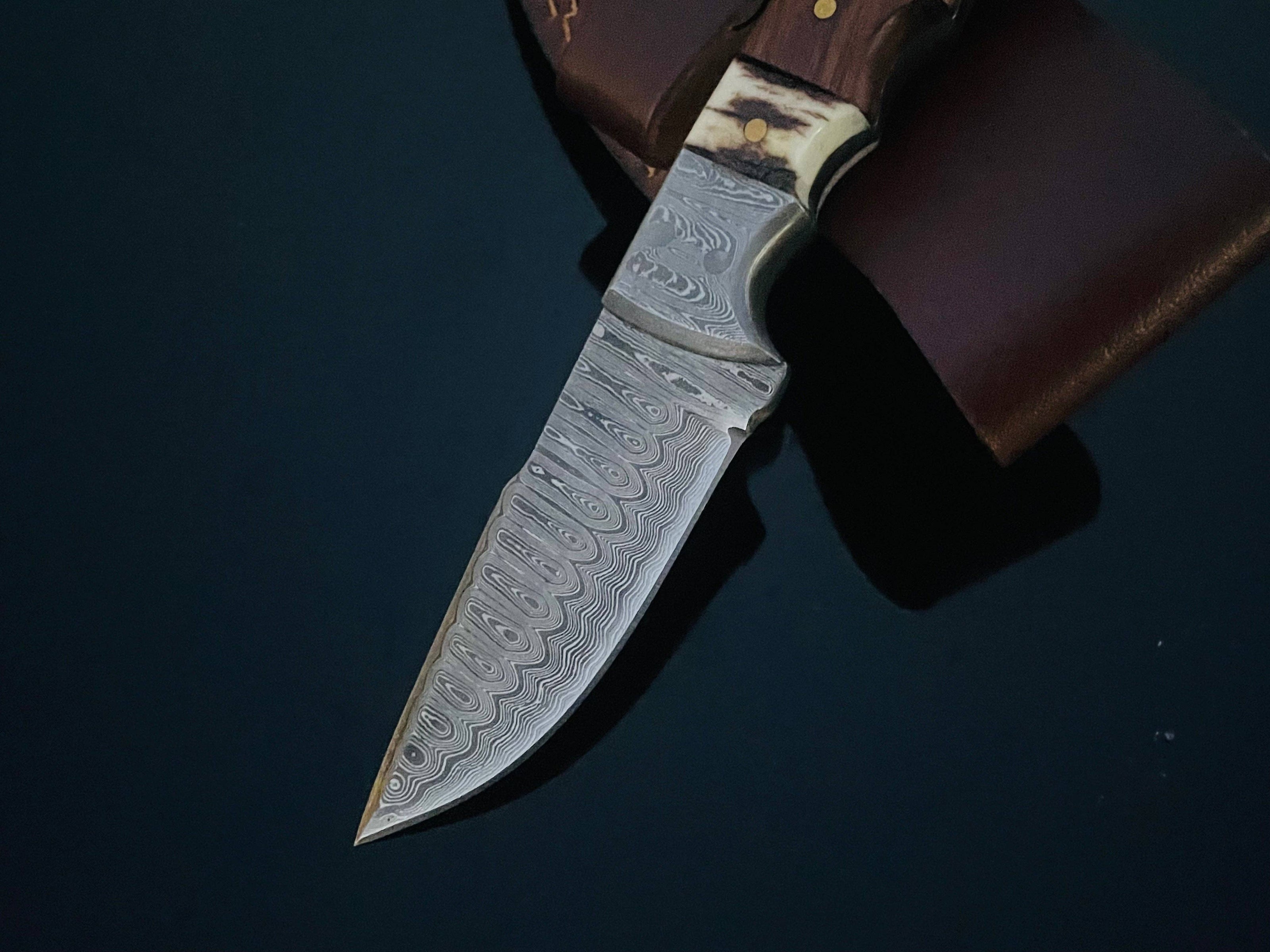 Damascus Knife with Walnut & Stag Horn Handle