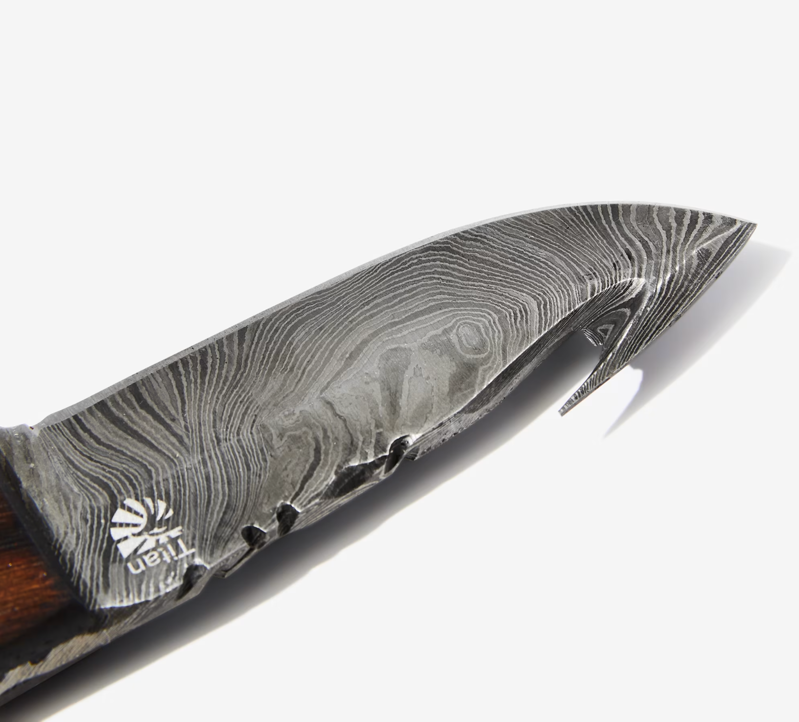 Damascus Skinning gut hook, Hunting Knife by Titan TD-1 7 6