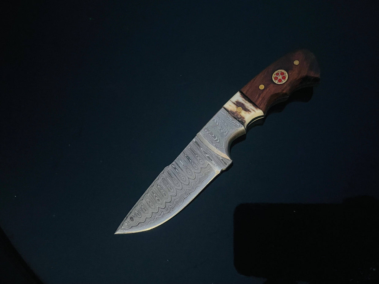 Damascus Knife with Walnut & Stag Horn Handle