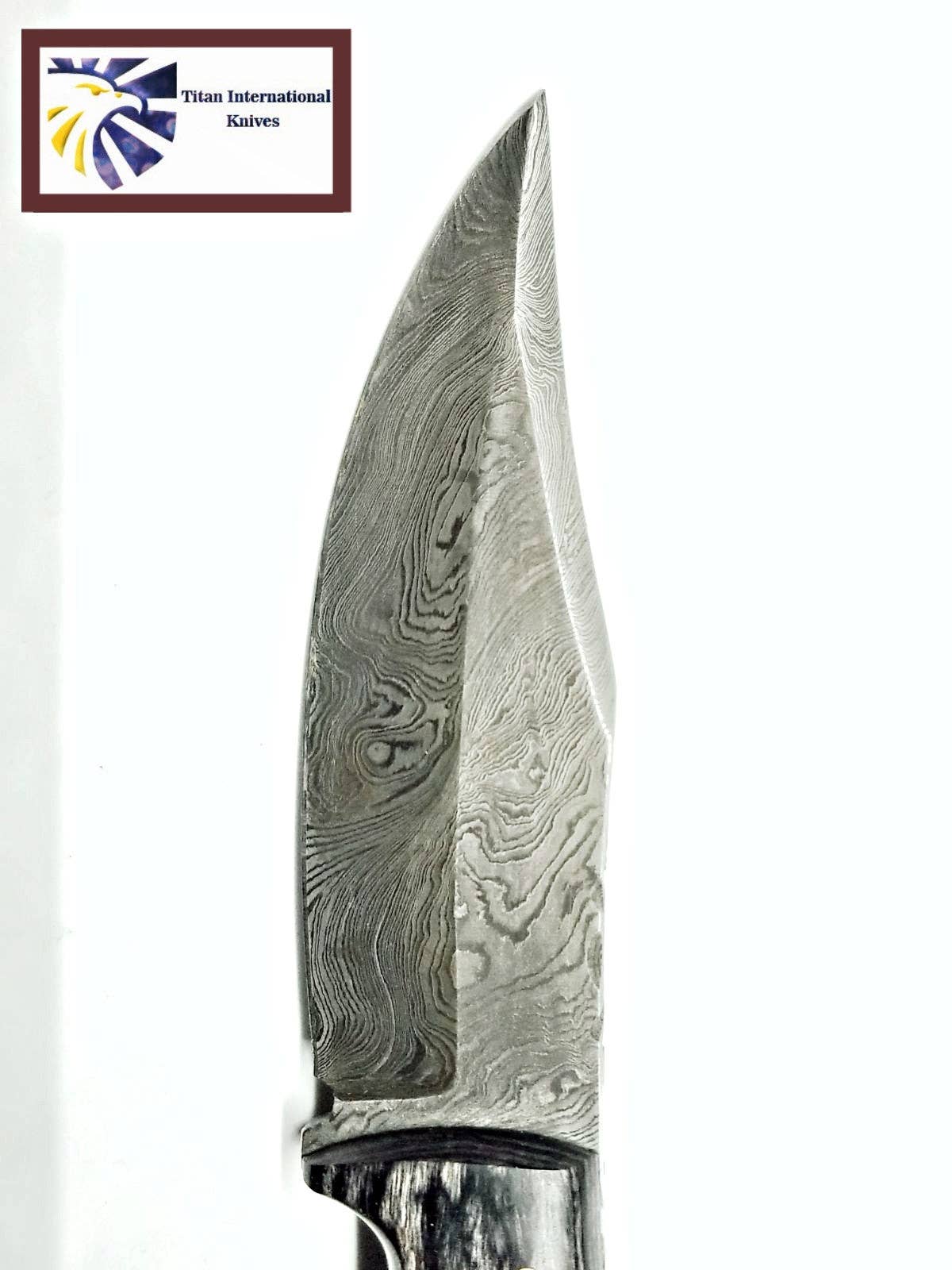 Damascus Steel Hunting Knife By Titan