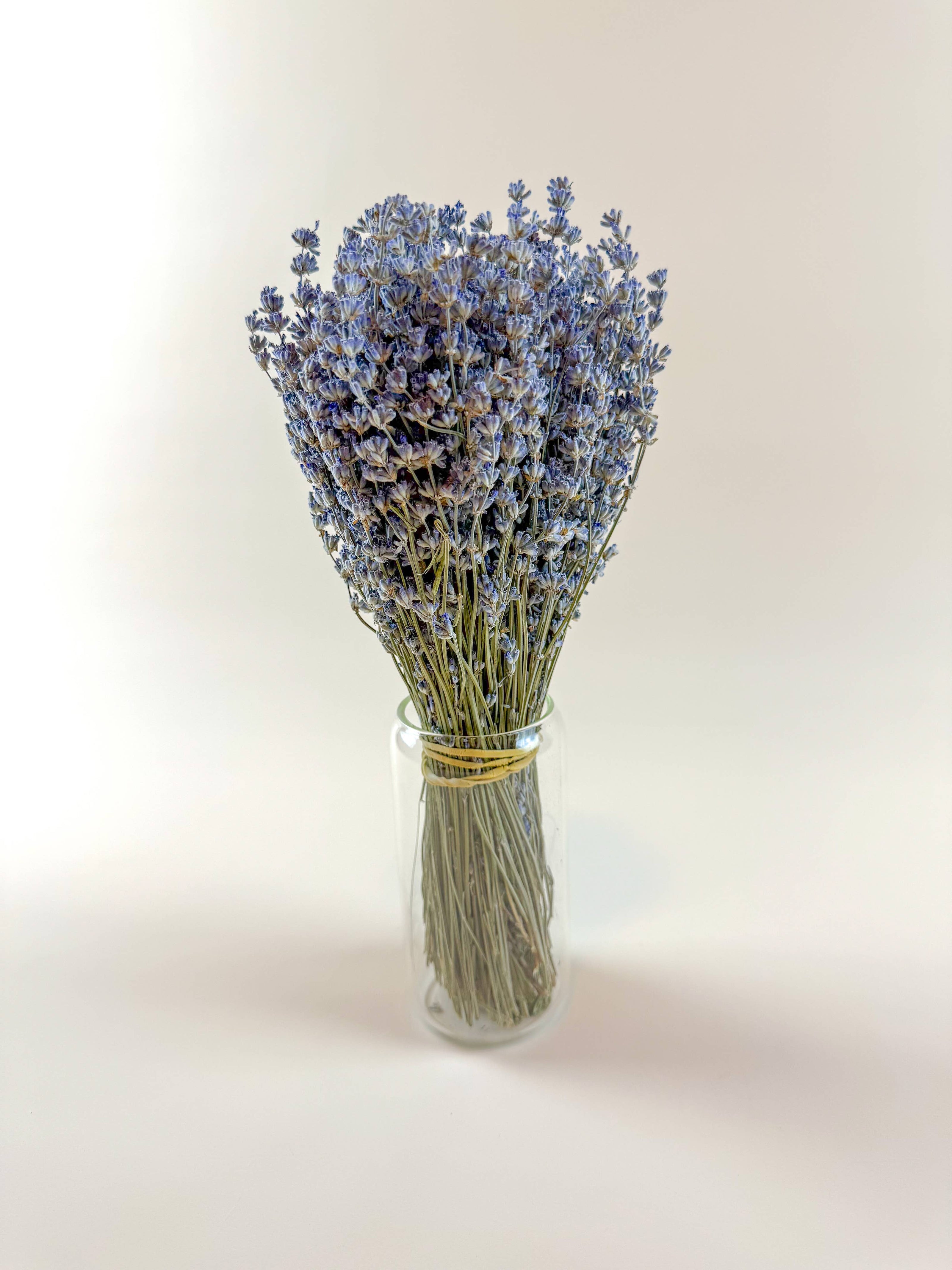 Light Blue Lavender – Naturally Air-Dried Florals