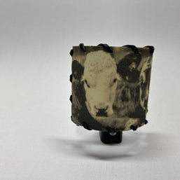 Nightlight Angus Cross Calves