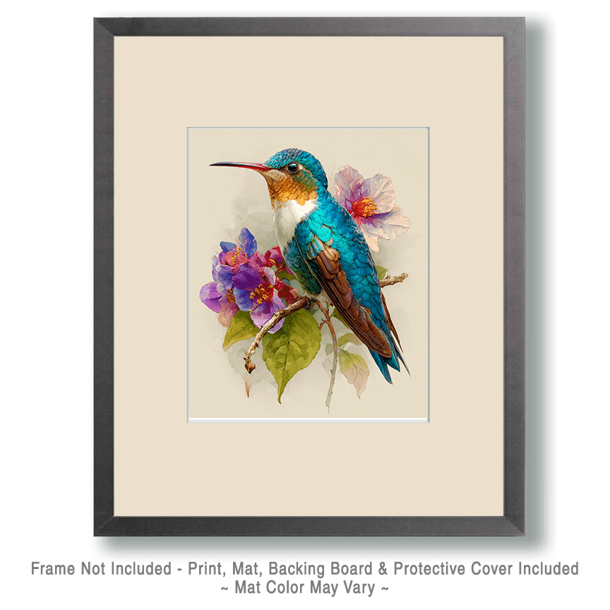 Watercolor Hummingbird Art Print