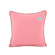 Blush Velvet Embroidered Pillow